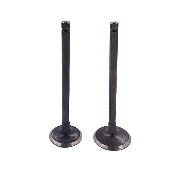 VENTIL USISEN KEEWAY ZAHARA125 LOGIK125 GN