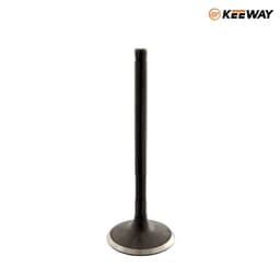 VENTIL USISEN KEEWAY LOGIK150 GN