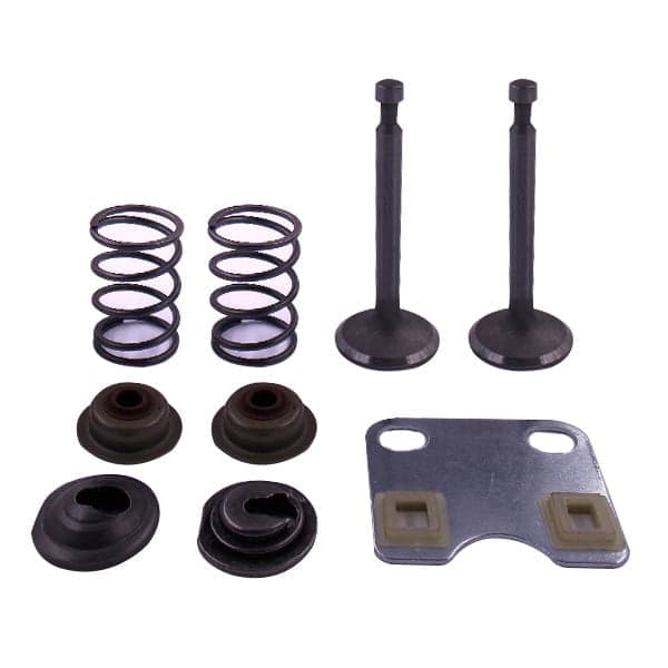 VENTILI HONDA GX 160 VODNA PUMPA 4P KIN FEDERI LEPTIR KMS+