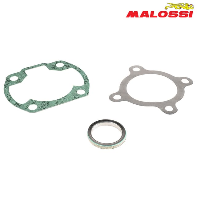 DIKTONI MINARELI 50cc 2T 47mm HORIZONTALNI MALOSSI*