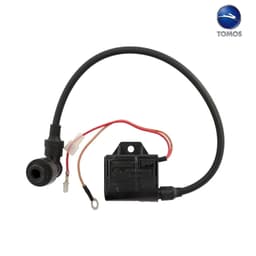 ELEKTRONIKA TOMOS 12V 80W INEL OR*