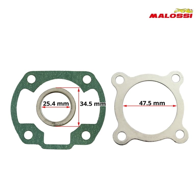 DIKTONI MINARELI 50cc 2T 47mm HORIZONTALNI MALOSSI* 2