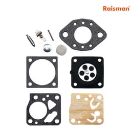 MEMBRANI TILLOTSON HU SET SO IGLIA RAISMAN