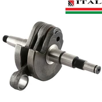 RADILICA S 066 MS650 660 ITAL