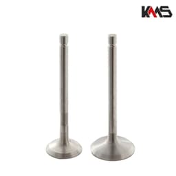 VENTILI KIPOR 186F SET KMS*