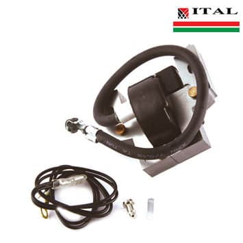 ELEKTRONIKA BRIGGS & STRATTON 5 KS 397358 ITAL