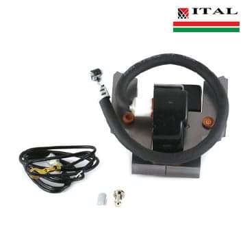 ELEKTRONIKA BRIGGS & STRATTON 2 - 4 KS 398593 ITAL