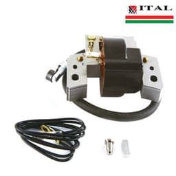 ELEKTRONIKA BRIGGS & STRATTON 5 - 6 KS QUANTUM 802574 ITAL