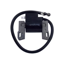 ELEKTRONIKA BRIGGS & STRATTON KINESKA