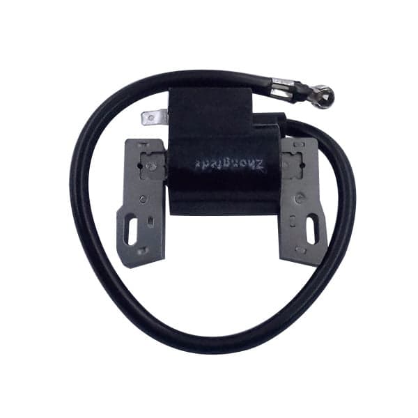 ELEKTRONIKA BRIGGS & STRATTON KINESKA