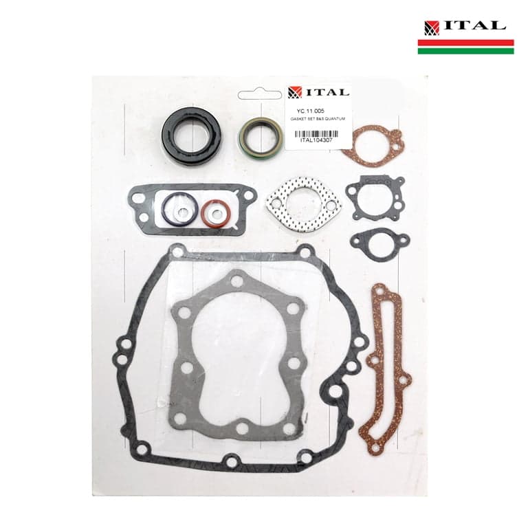 DIKTONI BRIGGS & STRATTON QUANTUM G.SET ITAL 2