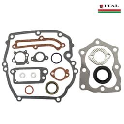 DIKTONI BRIGGS & STRATTON QUANTUM G.SET ITAL