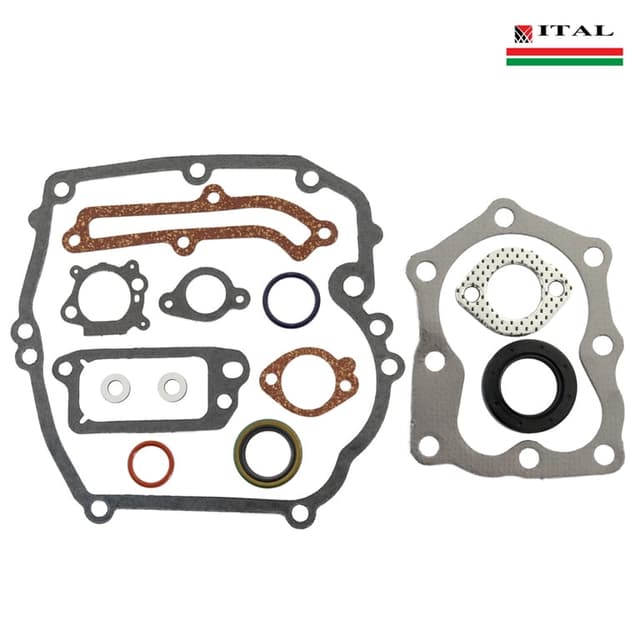 DIKTONI BRIGGS & STRATTON QUANTUM G.SET ITAL