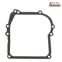 DIKTONI KARTER BRIGGS & STRATTON 3 - 3,5 KS ITAL