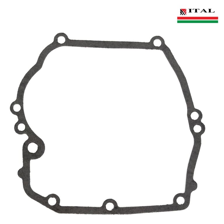 DIKTONI KARTER BRIGGS & STRATTON 5 6 6,5 KS QUANTUM ITAL