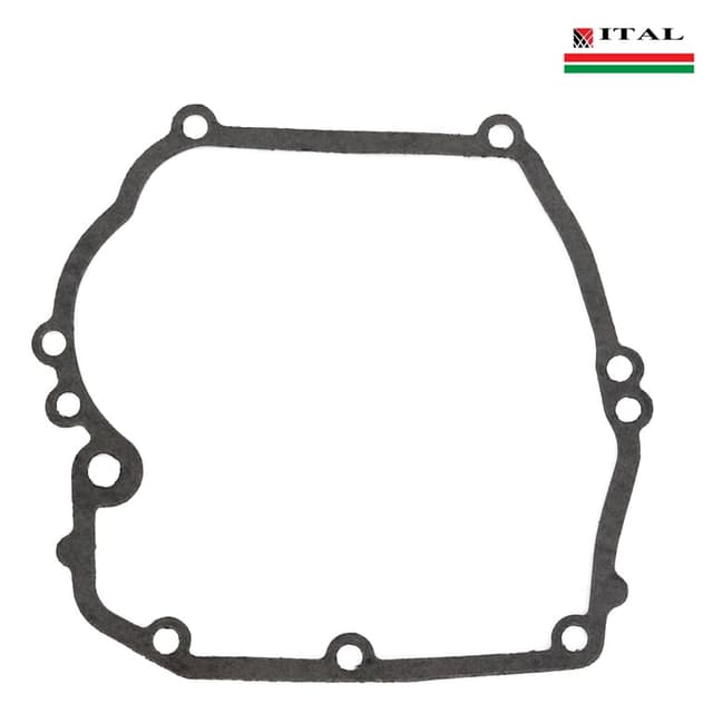 DIKTONI KARTER BRIGGS & STRATTON 5 6 6,5 KS QUANTUM ITAL