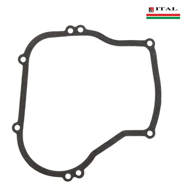 DIKTONI KARTER BRIGGS & STRATTON 5 KS ITAL