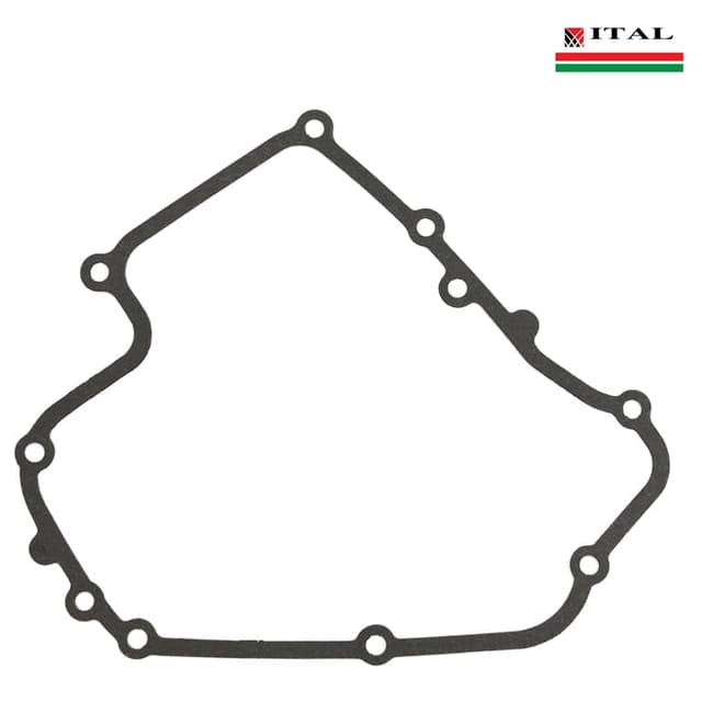 DIKTONI KARTER BRIGGS & STRATTON 750 SERIJA DOV ITAL