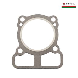 DIKTON GLAVA BRIGGS & STRATTON 750 SERIJA DOV ORGINAL ITAL