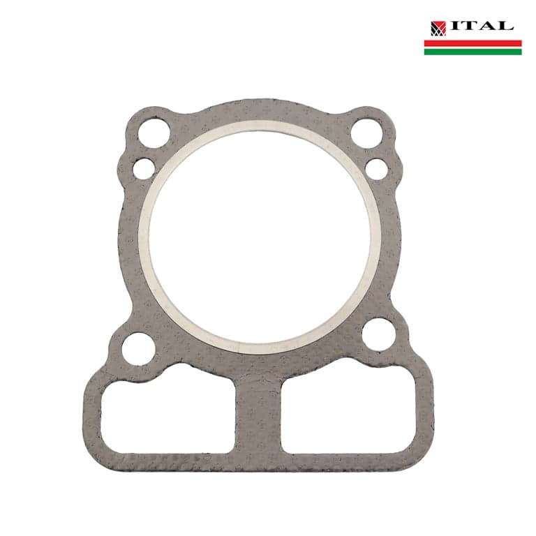 DIKTON GLAVA BRIGGS & STRATTON 750 SERIJA DOV ORGINAL ITAL