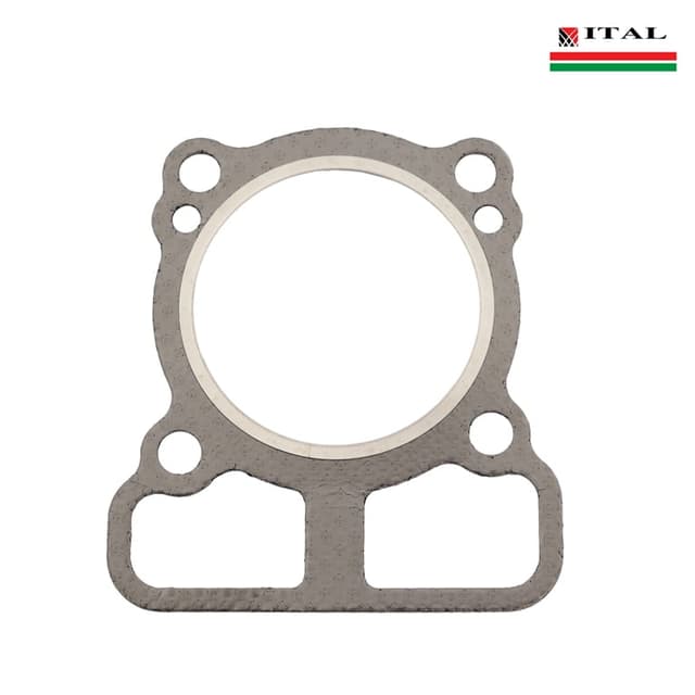 DIKTON GLAVA BRIGGS & STRATTON 750 SERIJA DOV ORGINAL ITAL