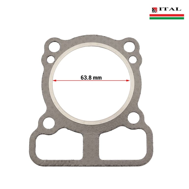 DIKTON GLAVA BRIGGS & STRATTON 750 SERIJA DOV ORGINAL ITAL 2