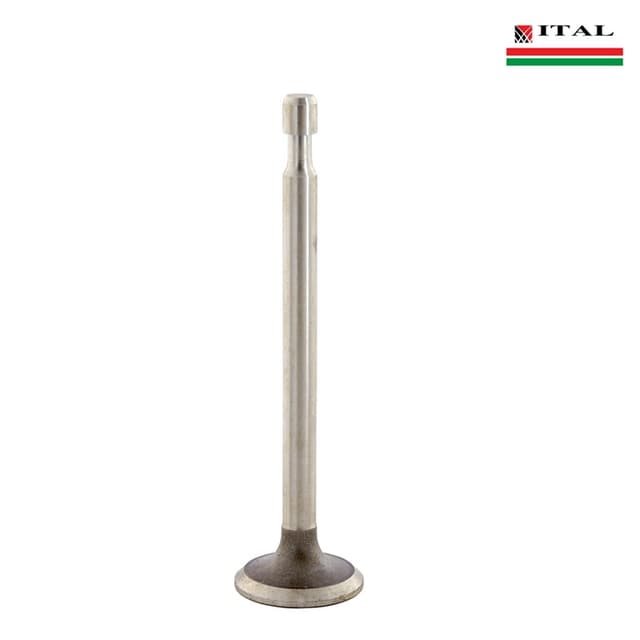 VENTIL IZDUVEN BRIGGS & STRATTON 5 - 6 KS QUANTUM ITAL