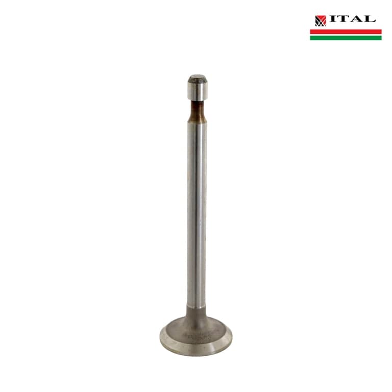 VENTIL USISEN BRIGGS & STRATTON 3 - 3,5 KS ITAL