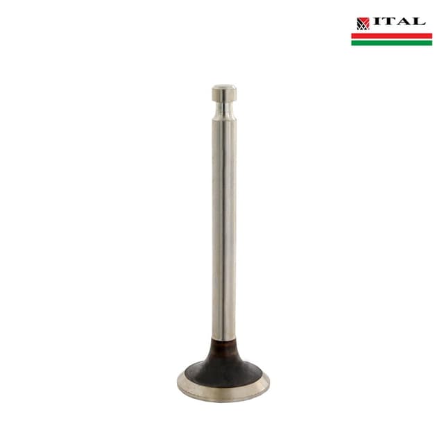 VENTIL IZDUVEN BRIGGS & STRATTON 7 - 8 KS ITAL