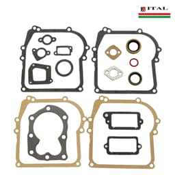 DIKTONI BRIGGS & STRATTON 38-002F G.SET ITAL