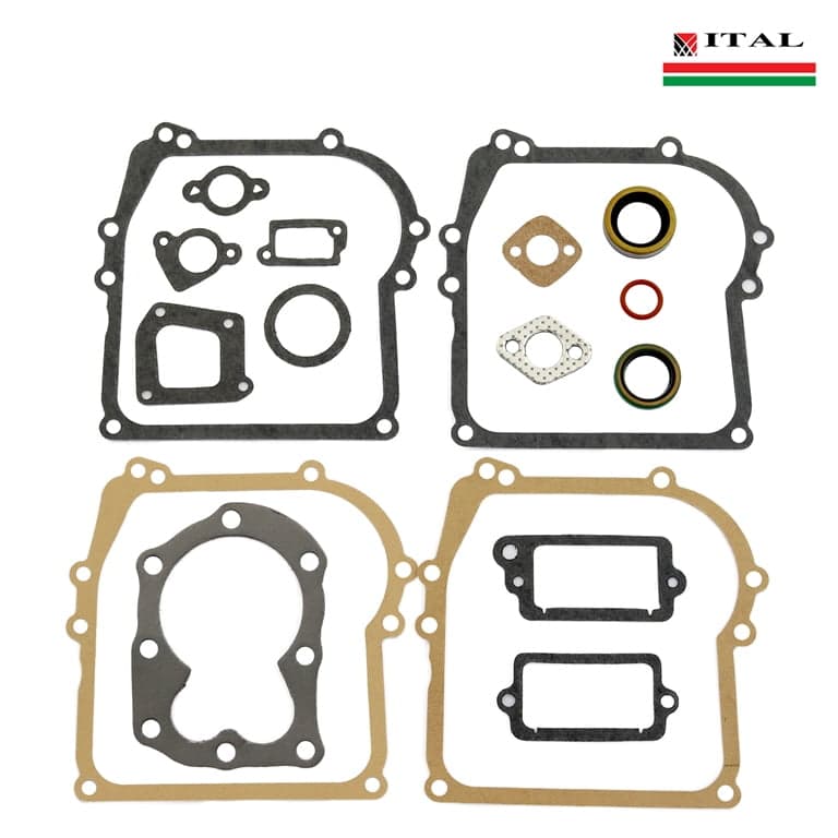 DIKTONI BRIGGS & STRATTON 38-002F G.SET ITAL