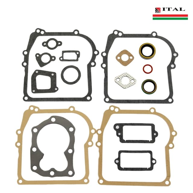 DIKTONI BRIGGS & STRATTON 38-002F G.SET ITAL