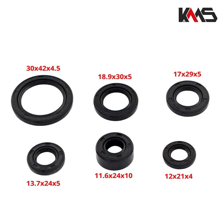 SEMERINZI ATV 125 KMS** 3