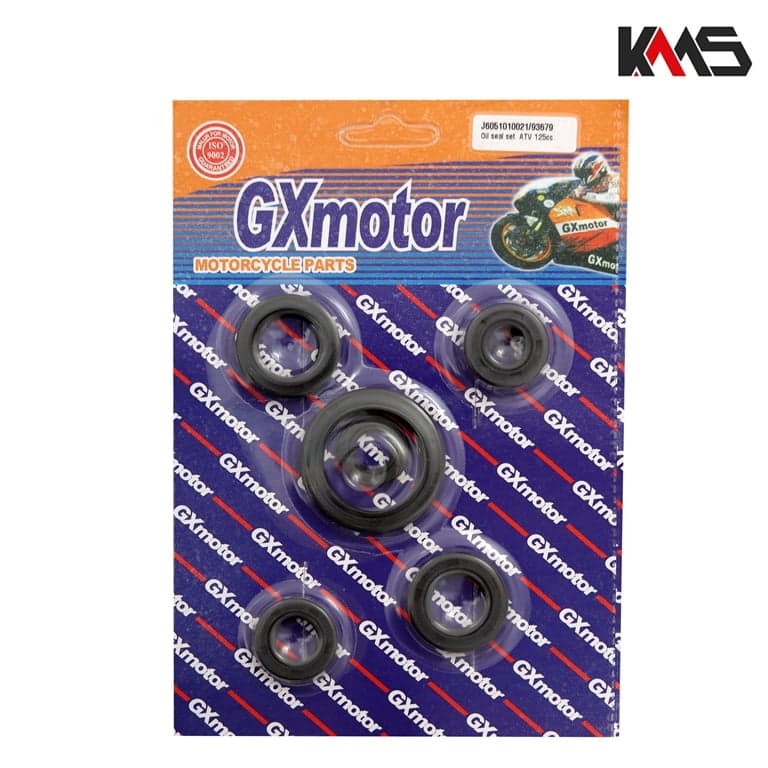 SEMERINZI ATV 125 KMS** 4