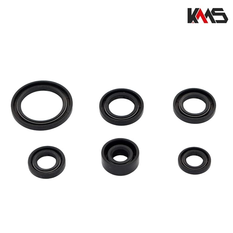 SEMERINZI ATV 125 KMS** 2