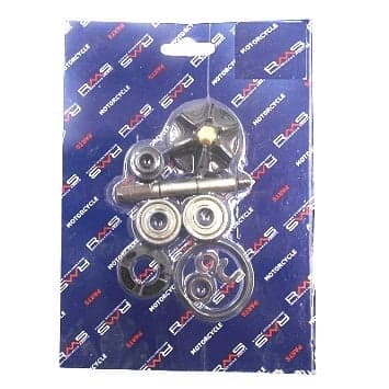 VODNA PUMPA PIAGGIO 50 100110020 FS-130 CN 2