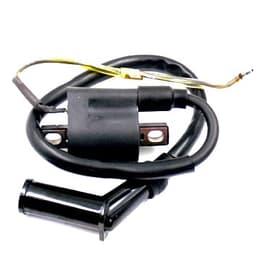 BOMBINA LONCIN LX110-3AIII