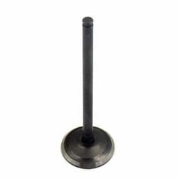 VENTIL USISEN 172cc-4VALVE (DTE170-4V)