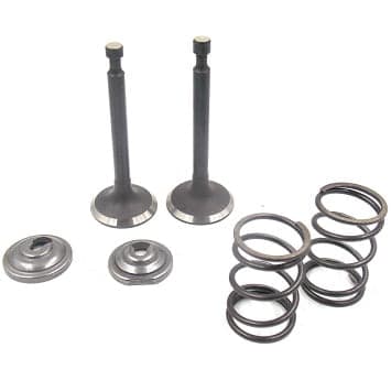 VENTILI HONDA GX 160 VODNA PUMPA 4P KIN SO FEDERI KMS+