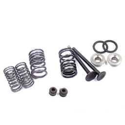 VENTILI GY6 50 60 80 100 SET SO FEDERI KIN+