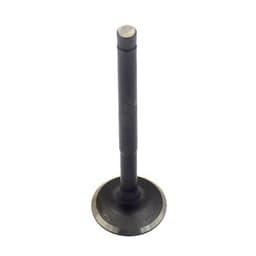 VENTIL USISEN PIAGGIO ZIP100