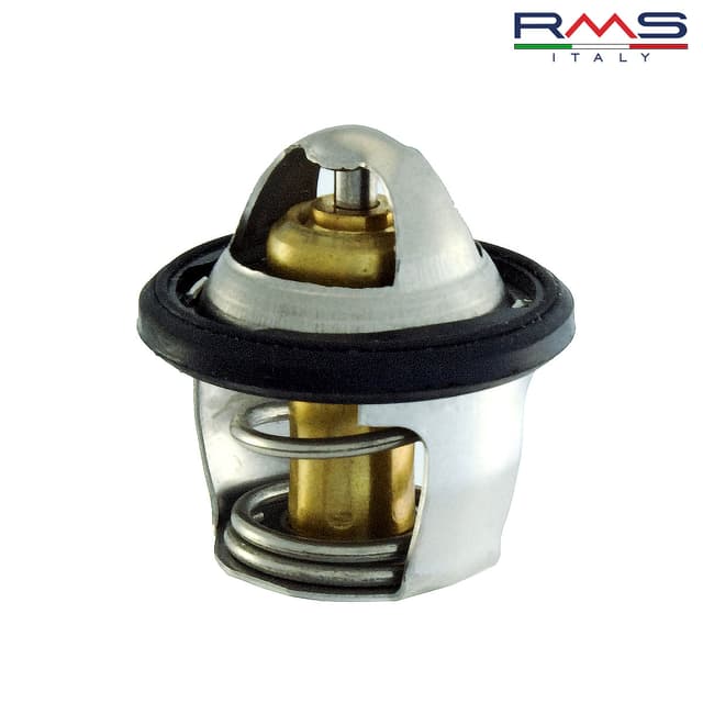 TERMOSTAT 100120040 RMS ITALY