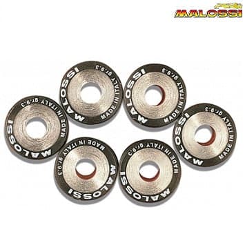 ROLNI 25X17-16 MALOSSI***