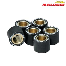 ROLNI 15X12-6,5 MALOSSI***