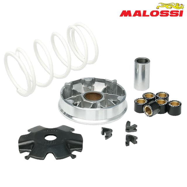 VARIJATOR GY6 50 60 80 100 BAOTIAN GARELLI KYMCO FILLY MALAGUTI PEUGEOT MULTIVAR 5113139 MALOSSI***