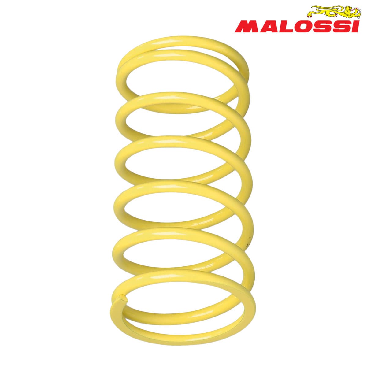 FEDER KAISNICA ZOLT +7% 2914024 MALOSSI***