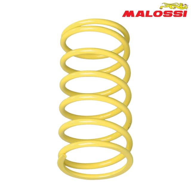 FEDER KAISNICA ZOLT +7% 2914024 MALOSSI***