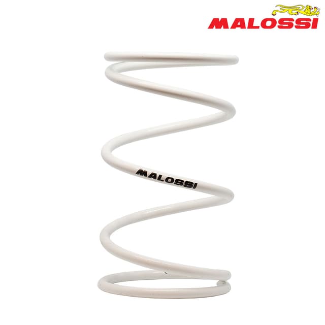 FEDER KAISNICA BEL 2914120 MALOSSI***