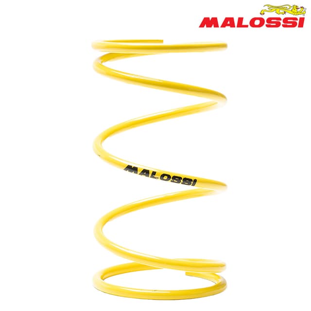 FEDER KAISNICA ZOLT 2915553 MALOSSI*