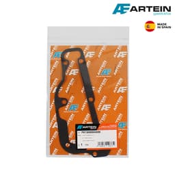 DIKTON MASLENA PUMPA PIAGGIO 250 100690325 RMS ITALY